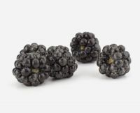 frozen  blackberry
