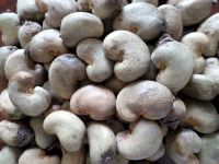 Dry Cashew Nuts | Pistachios Nuts | Peanuts