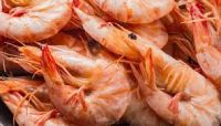 Crayfish | Sea Foods