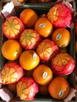 Valencia Orange