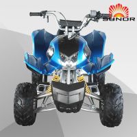 ATV and Pocket Bike