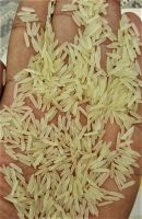 https://fr.tradekey.com/product_view/1121-Golden-Rice-Sella-Sortex-9340449.html