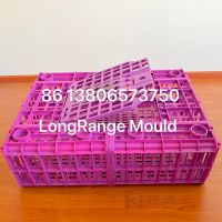 Plastic poultry equipment mould chick cage mould