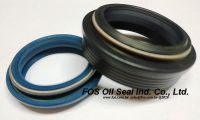 Oil Seals 