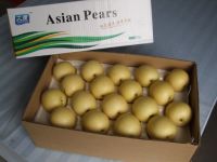 https://fr.tradekey.com/product_view/Asian-Pears-505085.html