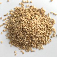 Vietnam sesame seeds