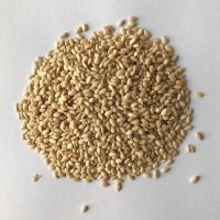 Hulled roasted white sesame seeds