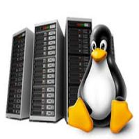 Single Domain Linux Hosting