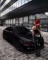 2025  hot sold Auto Paint retail wholesale market  Autobase Plus