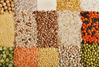 Cereals/Grains in the range of wholesale - shipping worldwide CIF/FOB/CFR