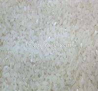 Rice In The Range Of Wholesale - Shipping Worldwide CIF/FOB/CFR