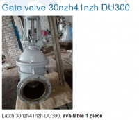 Valve