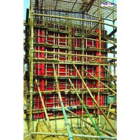 Rectangular Modular Plastic Wall Formwork