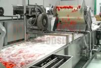 Tomato Processing Line