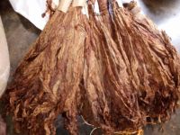 CURED TOBACCO