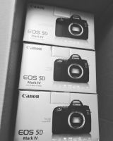 Canon - EOS 5D Mark IV DSLR Camera  with Lens