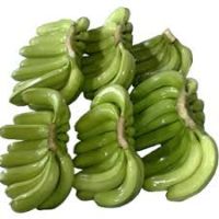 Cavendish Banana