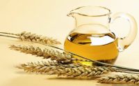 Wheat Oil