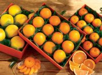 Kinnow ( Oranges )