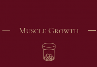 HERBO MUSCLE ( MASS GAINER )