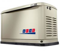 Hot sale 10kw biogas generator set