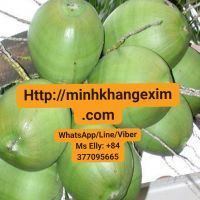 Vietnam Fresh Young Green Coconut