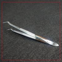 https://es.tradekey.com/product_view/Disposable-Dental-Elbow-Iron-Tweezers-9358936.html