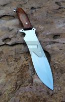 HANDMADE D2 CARBON STEEL OUTDOOR COMBAT SURVIVAL HUNTING BOWIE KNIFE WITH SHEATH