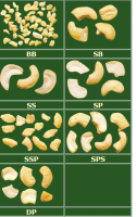 CASHEW NUTS WHOLE