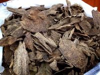 Agarwood chip, seeds, oud oil, Oud Chips