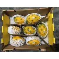 Yellow Dragon Fruit Pitahaya