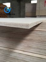 Eucalyptus Floor Based Plywood
