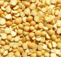 Yellow pea