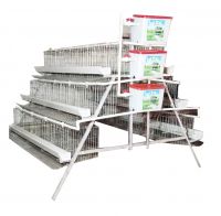 Automatic Hot Galvanized Poultry Farming Egg Chicken Cages  For Africa