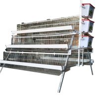 https://fr.tradekey.com/product_view/A-Type-3-4-Layers-Poultry-Chicken-Layer-Cage-For-Sale-9362400.html