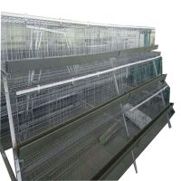 Cheap price cold galvanizing poultry chicken egg laying hens cage