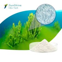 Factory Directly Supply Extract of  Freshwater Sponge skin care
