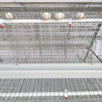 Cheap Galvanized Poultry Hen Chicken Cages For Sale
