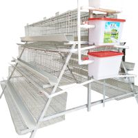 Cheap Galvanized Poultry Hen Chicken Cages For Sale