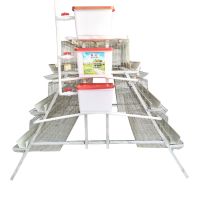https://ar.tradekey.com/product_view/Automatic-Poultry-Farming-Equipment-Hen-Chicken-Cage-9362399.html