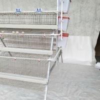 Best sale poultry battery egg layer cages for chicken
