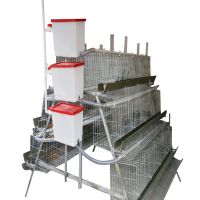 Automatic animal poultry layer chicken breeding cage for sale