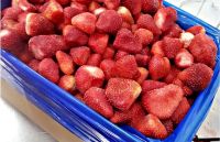 Kosher, IQF Frozen Strawberry, Egypt