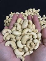 Viet Nam High Quality Cashew Kernel W240 Factories Export 