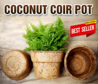 COCONUT FIBER POTS - COIR POTS