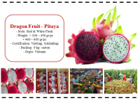 Dragon Fruit - Pitaya