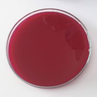 Red Dragonfruit puree/NFC