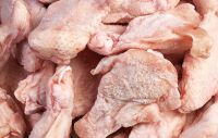 Best Halal Whole Frozen Chicken For Export / Chicken breast , Chicken Legs, Chicken Drumsticks 