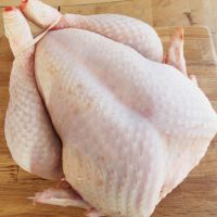 BRAZILIAN QUALITY HALAL FROZEN WHOLE CHICKEN AND PARTS / GIZZARDS / THIGHS / FEET / PAWS / DRUMSTICKS 