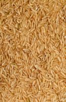High Quality Brown Rice